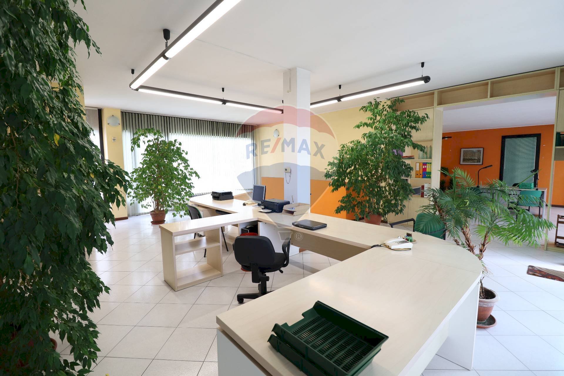 Negozio Brembate di Sopra, BG, Brembate di Sopra - foto 2