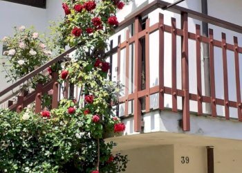 Casa semi indipendente Frazione Villafranca, Forno Canavese - foto 13