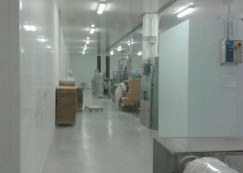 Capannone Dogliani - foto 13