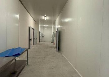 Capannone Dogliani - foto 21