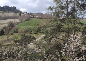 Villa Bifamiliare Bologna - foto 10