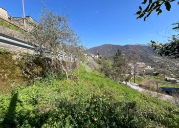 Terreno edificabile Via Serra, Cicagna - foto 12