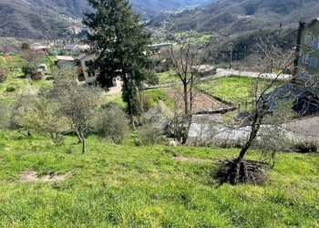 Terreno edificabile Via Serra, Cicagna - foto 13