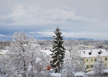 Quadrilocale Via Alessandro Ferraris di Celle, 5, Cuneo (zona Centro Storico) - foto 7