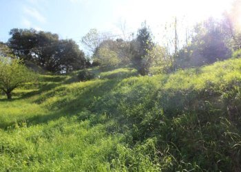 Terreno - Rustico via alla Soria, 75, Genova - foto 35