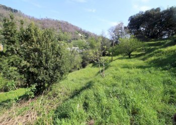 Terreno - Rustico via alla Soria, 75, Genova - foto 36