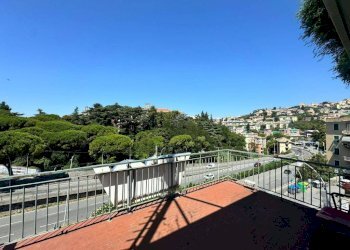 Terrazzo - Ufficio via Angelo Carrara, 250, Genova (zona Quarto) - foto 1