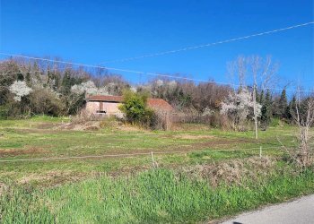 Rustico Fossano - foto 14