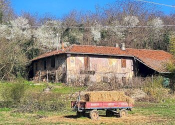 Rustico Fossano - foto 4