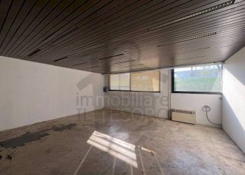 Altro - Capannone via Statale Marecchia, 34, Verucchio - foto 13