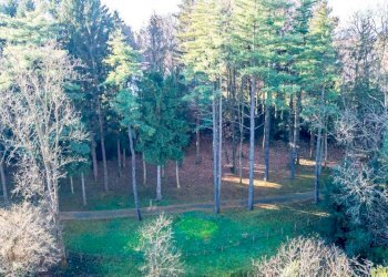 Terreno - Attico via Vittorio Veneto, 13, Luvinate - foto 6