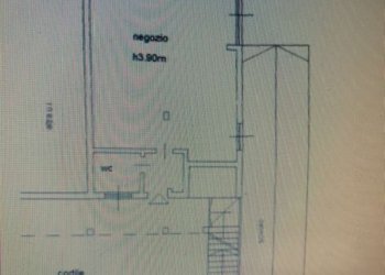 img_5552 - Shop via PUCCINI, Cesate - photo 2