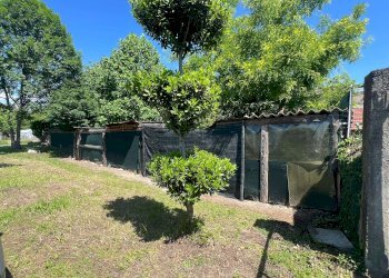 img_8777 - Cascina via Rivoira, 7, Campiglione Fenile - foto 28