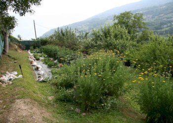 Villa Località Champvillair, Roisan - foto 7