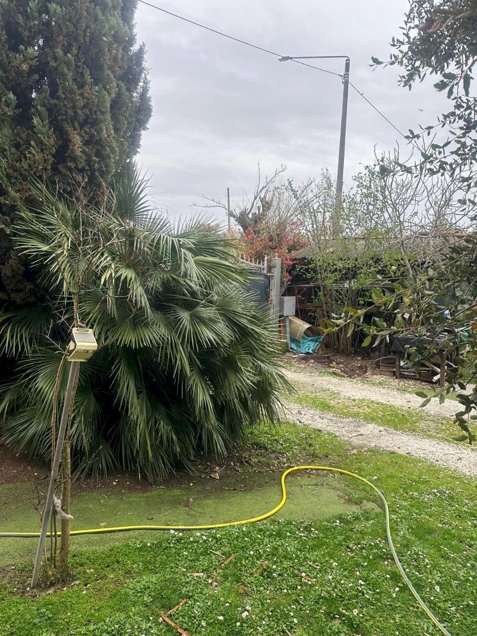 Villa Unifamiliare Imola - foto 3