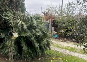 Villa Unifamiliare Imola - foto 3