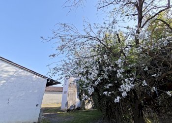 Rustic Carmagnola - photo 38