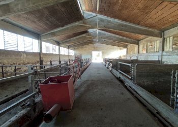 Rustic Carmagnola - photo 53