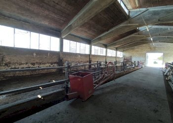 Rustic Carmagnola - photo 54