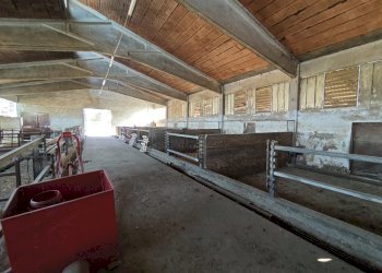 Rustic Carmagnola - photo 55