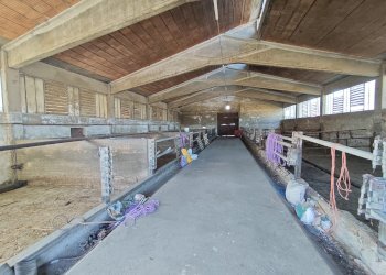 Rustic Carmagnola - photo 56