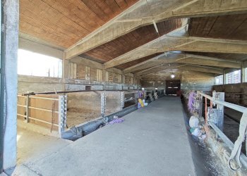 Rustic Carmagnola - photo 58