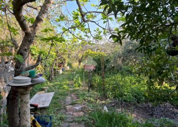 Semi-detached house Via San Giacomo, Diano Marina - photo 31