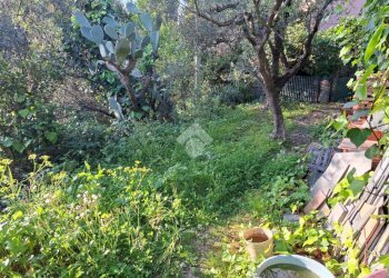 Semi-detached house Via San Giacomo, Diano Marina - photo 32