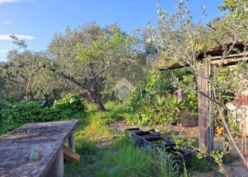 Semi-detached house Via San Giacomo, Diano Marina - photo 34