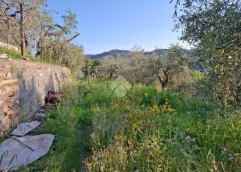 Semi-detached house Via San Giacomo, Diano Marina - photo 35