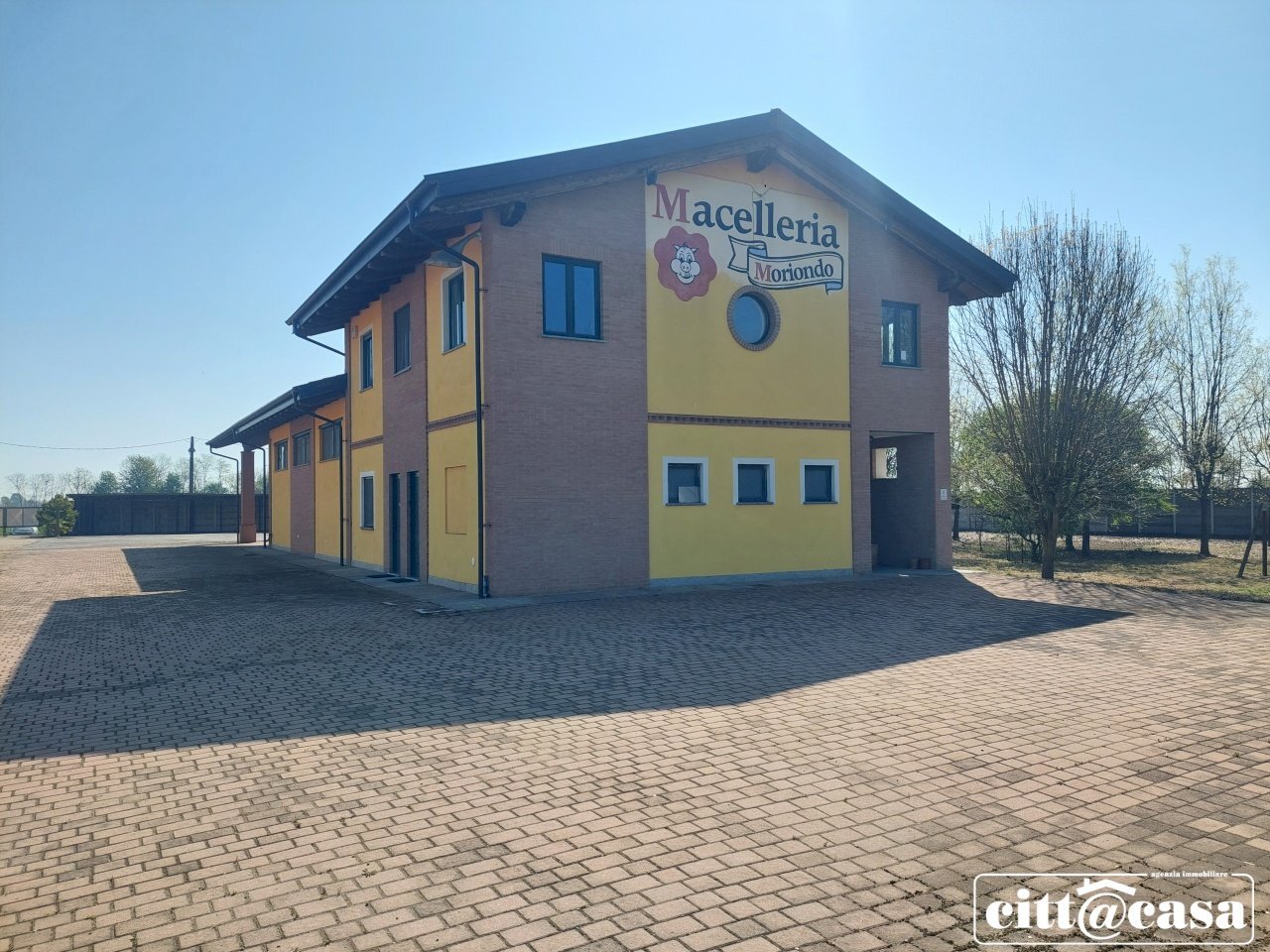 Capannone Caluso - foto 2