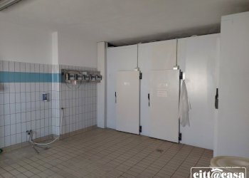 Capannone Caluso - foto 31