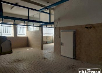 Capannone Caluso - foto 43