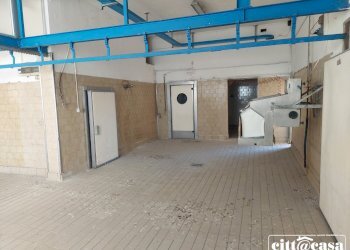 Capannone Caluso - foto 44