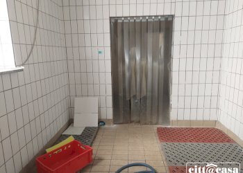 Capannone Caluso - foto 49