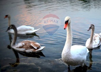 Bilocale Trezzo sull'Adda - foto 16