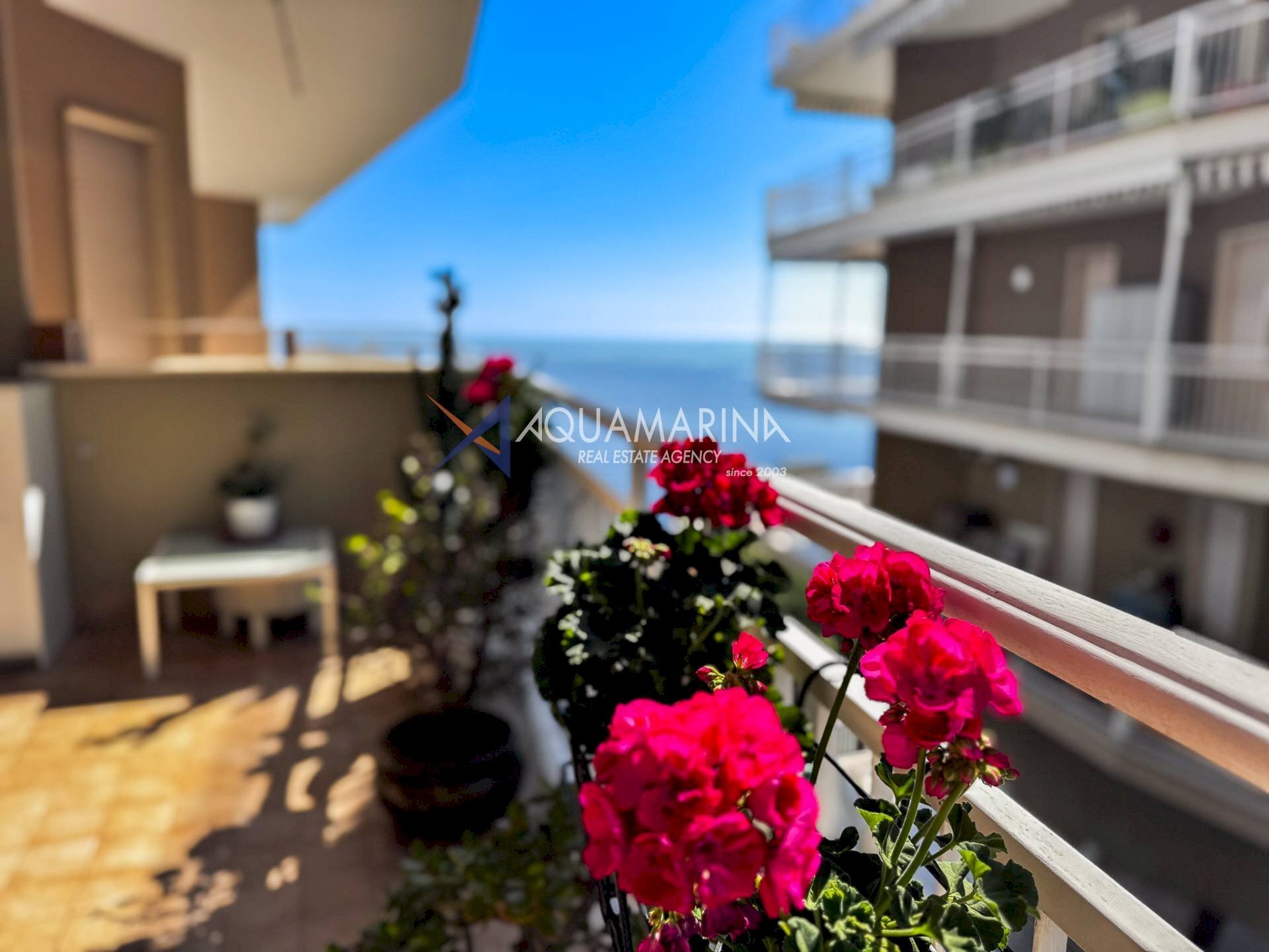 Bilocale Ospedaletti - foto 2