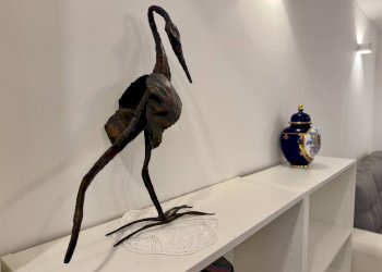 Appartamento Via Pietro Cossa, Padova (zona Madonna Pellegrina) - foto 19