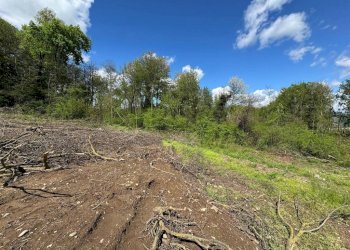 Terreno - Terreno edificabile via Giuseppe Mazzini, Ternate - foto 7