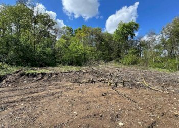 Terreno - Terreno edificabile via Giuseppe Mazzini, Ternate - foto 9