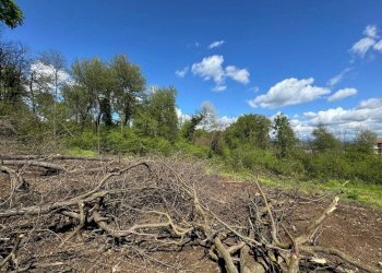 Terreno - Terreno edificabile via Giuseppe Mazzini, Ternate - foto 13