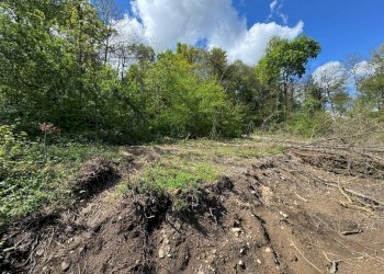 Terreno - Terreno edificabile via Giuseppe Mazzini, Ternate - foto 18