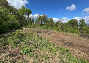 Terreno - Terreno edificabile via Giuseppe Mazzini, Ternate - foto 26