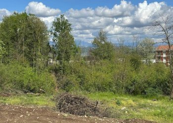 Terreno - Terreno edificabile via Giuseppe Mazzini, Ternate - foto 28