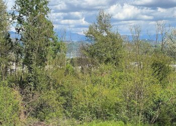 Terreno - Terreno edificabile via Giuseppe Mazzini, Ternate - foto 29