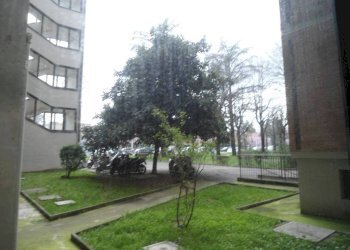 Giardino - Trilocale via Rinaldo Rigola, Bologna (zona Barca) - foto 3