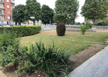 Giardino - Quadrilocale strada Torino, 10, Orbassano - foto 26