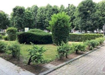 Giardino - Quadrilocale strada Torino, 10, Orbassano - foto 27