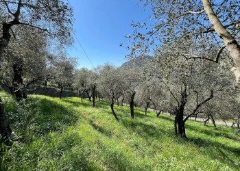 Terreno - Attico Località San Pier di Canne Case Sparse, Chiavari - foto 11