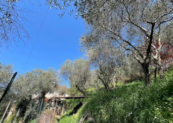 Terreno - Attico Località San Pier di Canne Case Sparse, Chiavari - foto 13